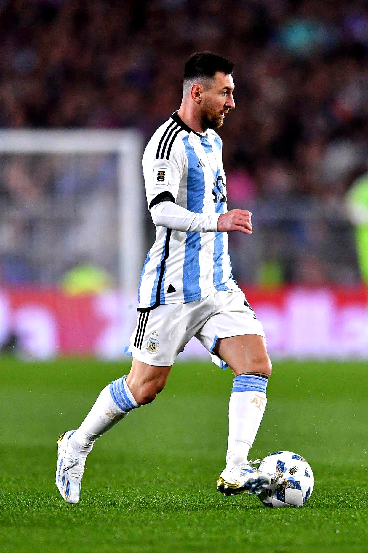 职业联赛季后赛拉开帷幕，阿根廷队表现出色