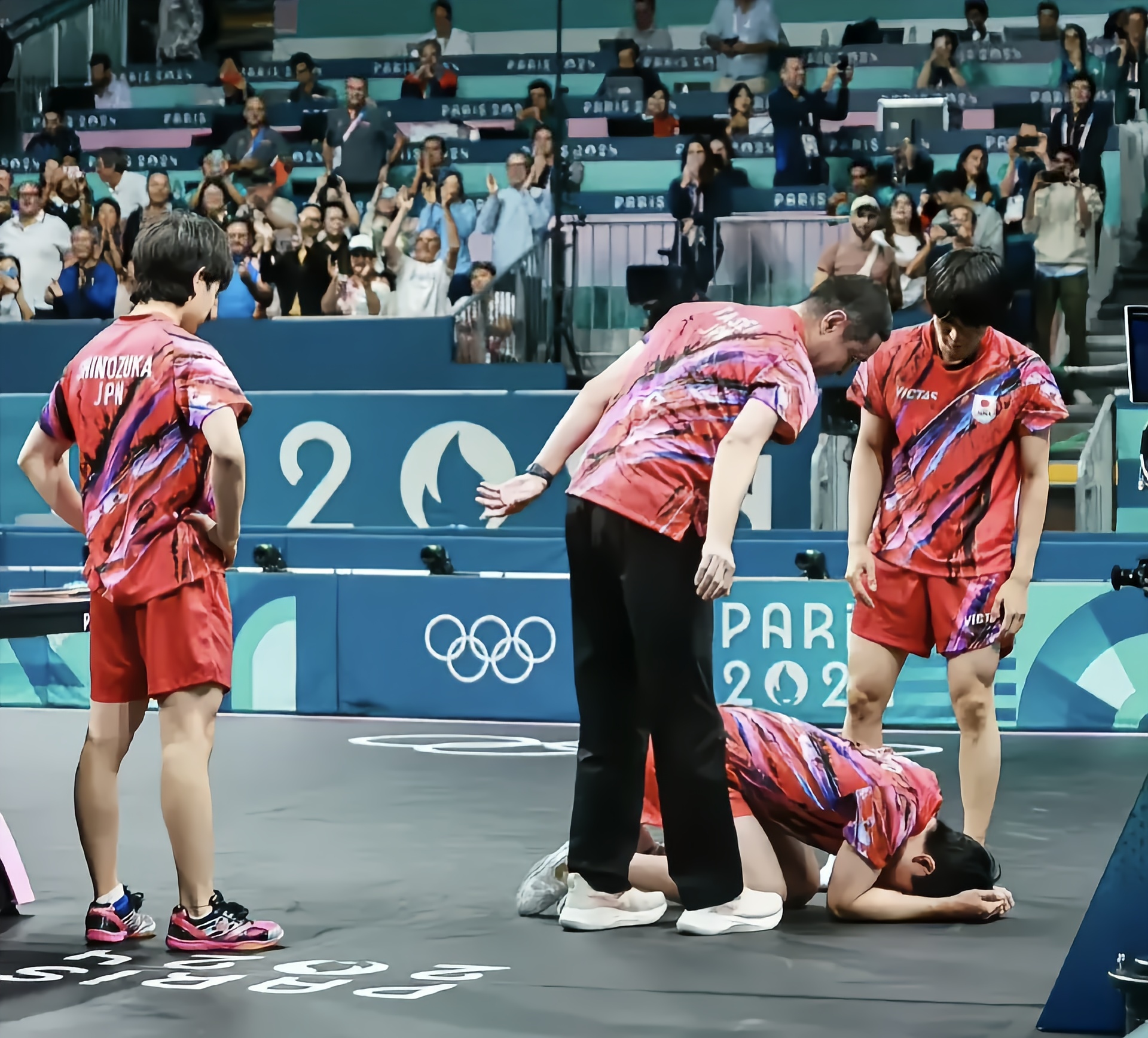 关于奥地利乒乓球队翻盘法国乒乓球队，张本智和统治全场的信息