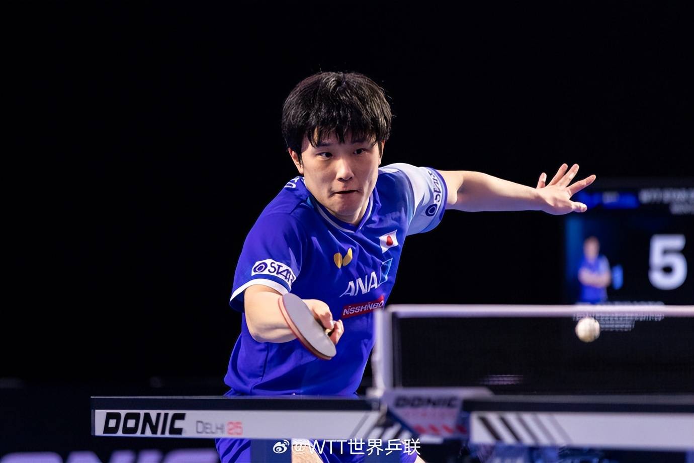 包含波兰队碾压英格兰队,张本智和关键制胜的词条 包含波兰队碾压英格兰队,张本智和关键制胜的词条