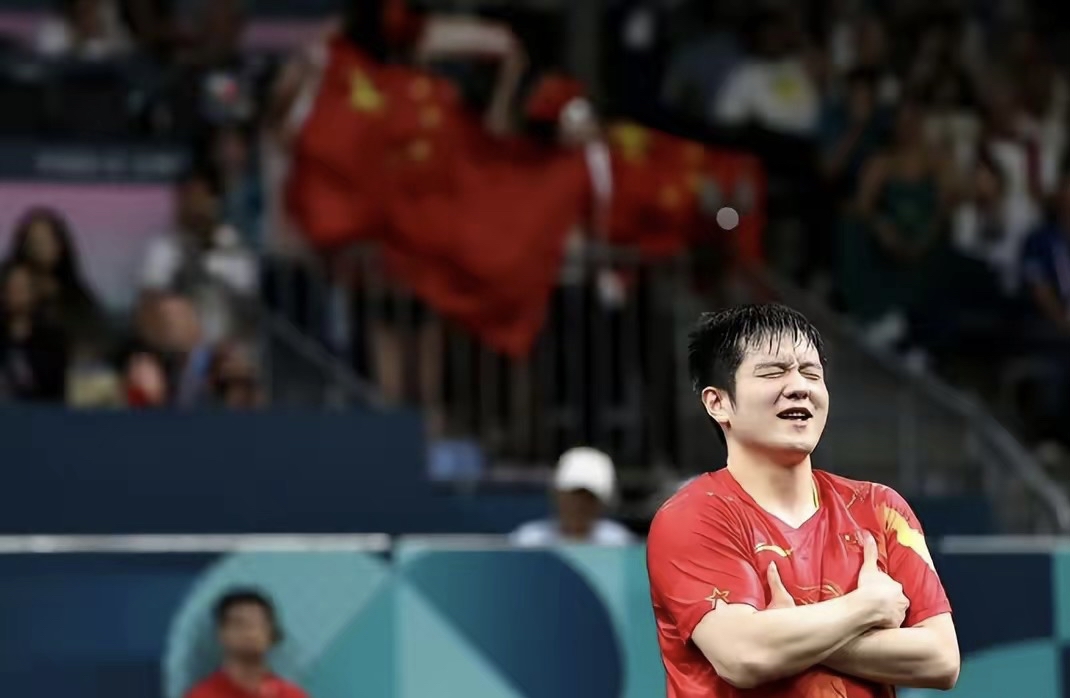 瑞典队轻取波兰队，樊振东惊艳四座的简单介绍