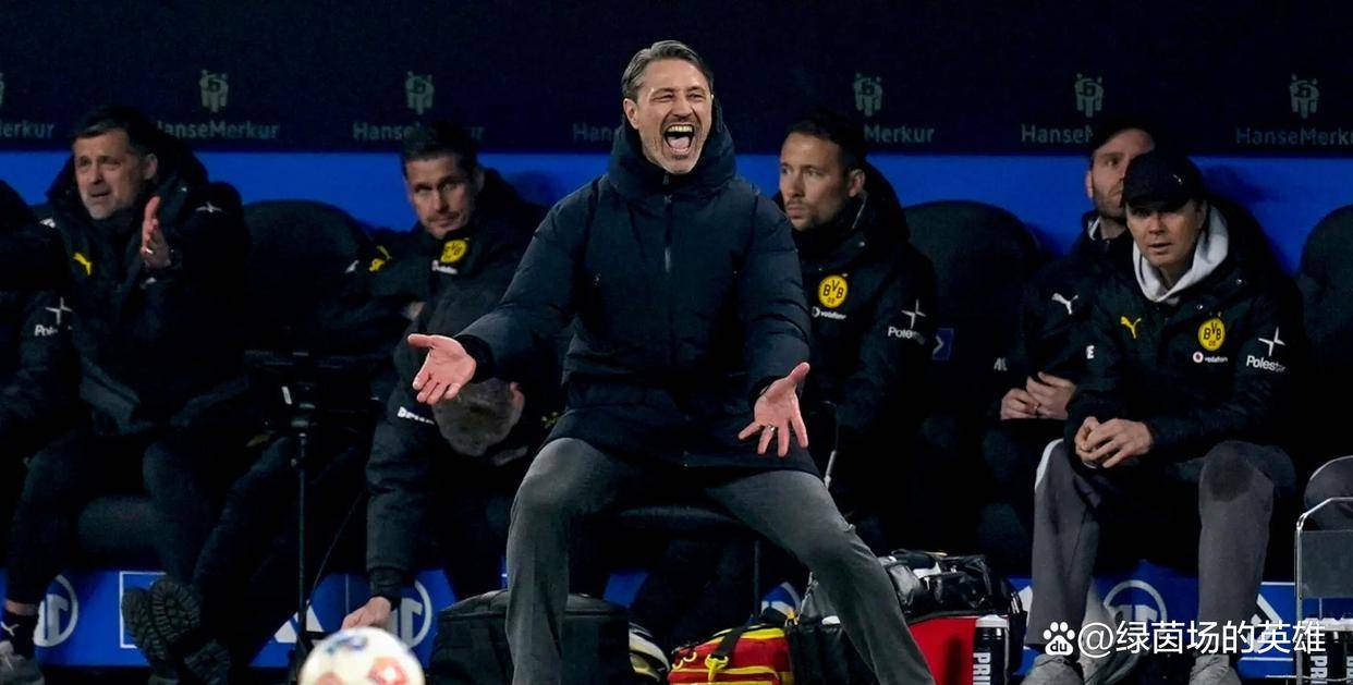 9you娱乐-多特蒙德主场不敌对手，遭遇惨败的简单介绍