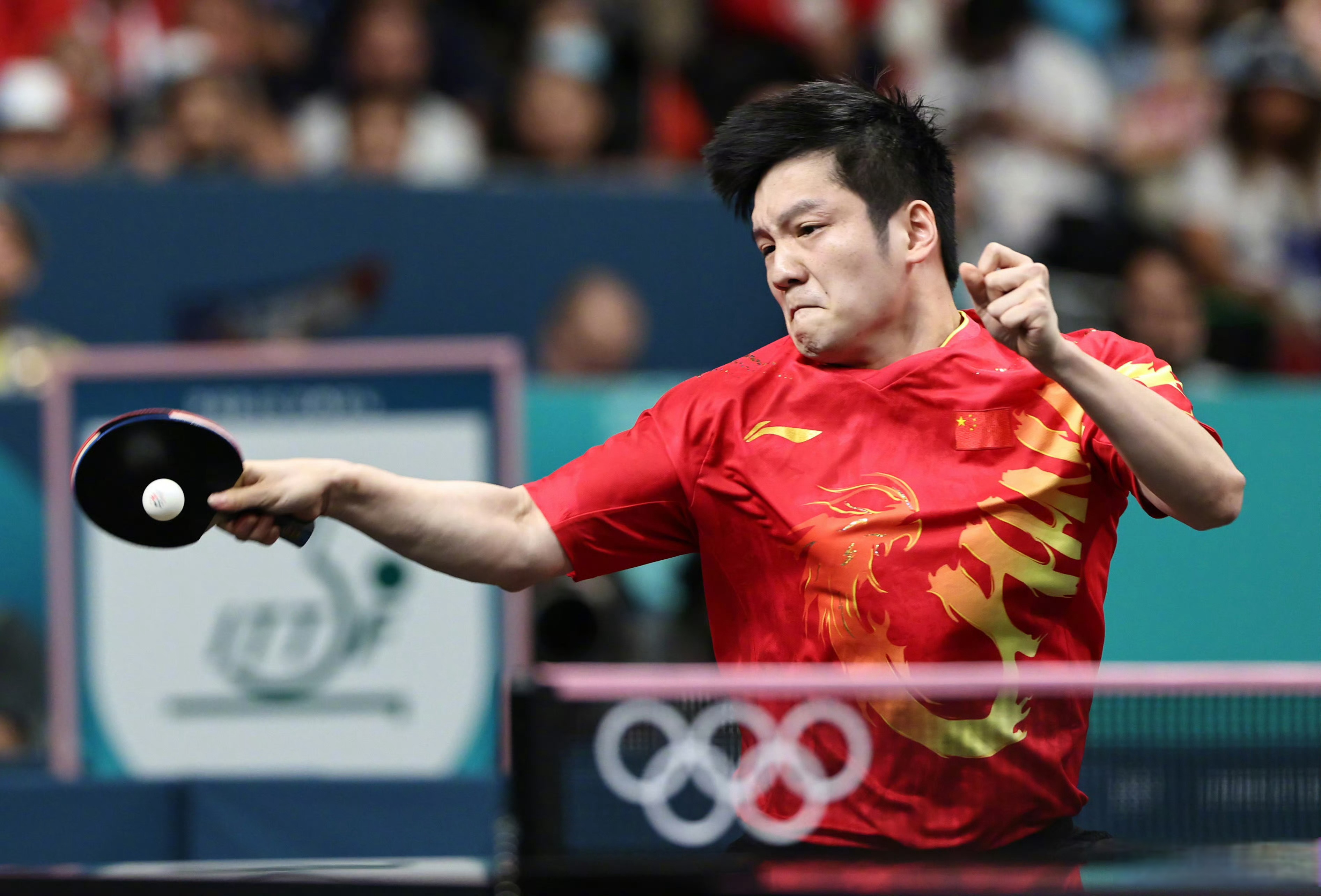 九游官网-中国队完胜英格兰队，樊振东高光表现的简单介绍