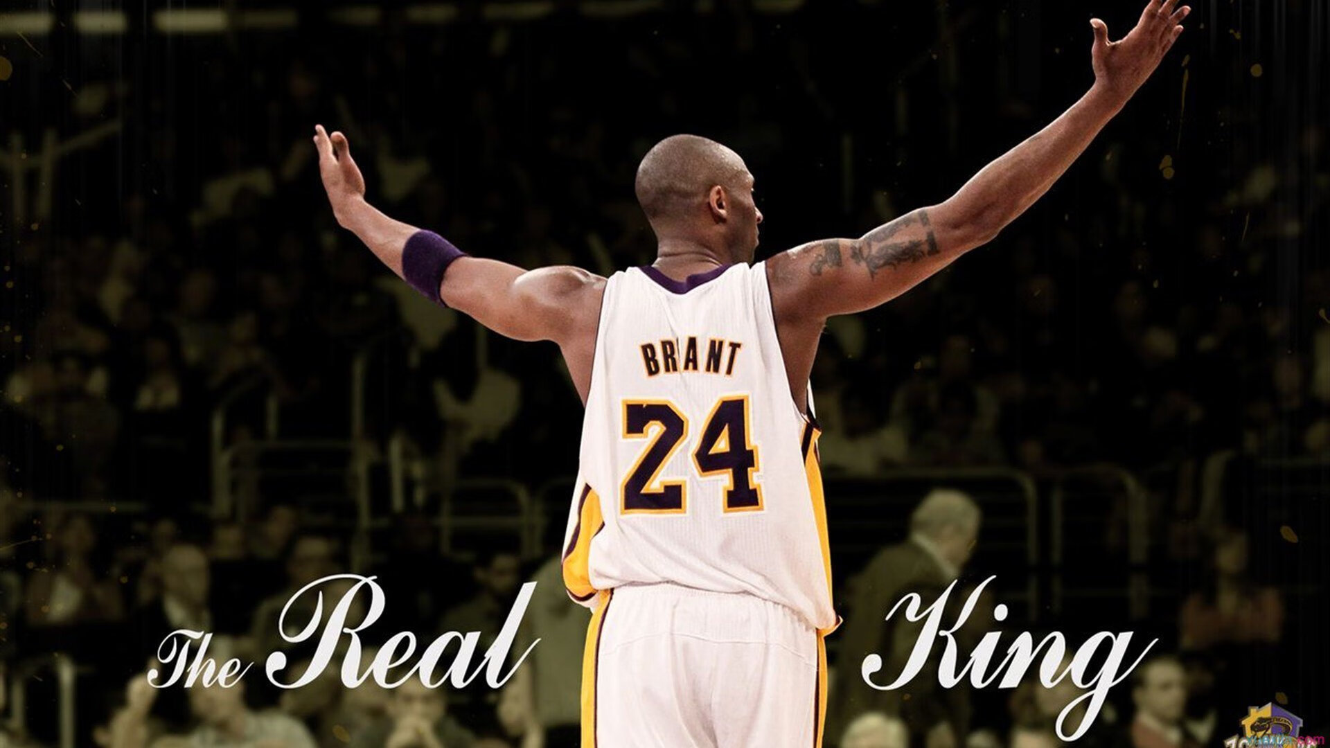 九游APP-东决关键战之夜，阿克彻底打爆防线