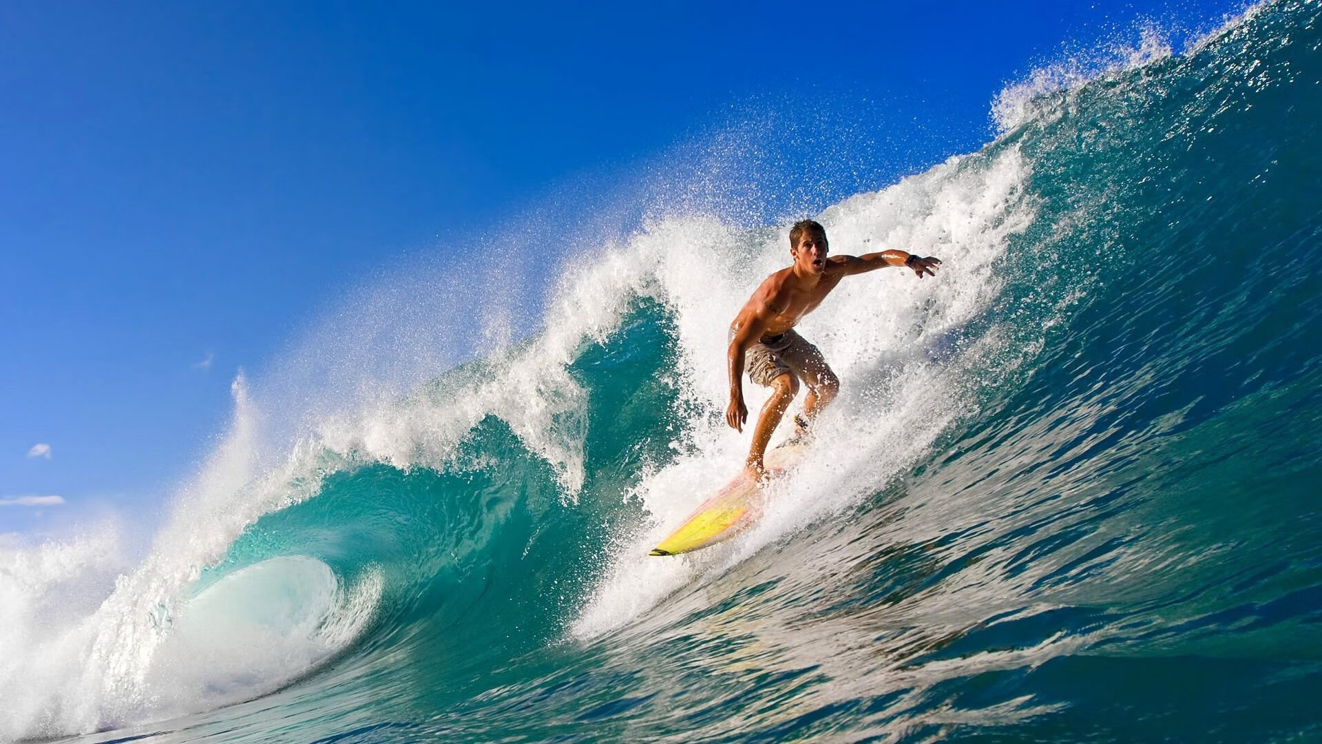 赛道之外的火力对决，浙江队如何以数据压制公牛